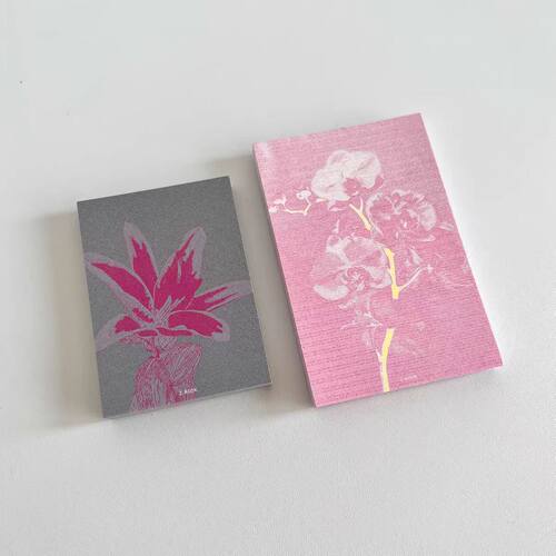 soii手帐分装|书写者BOOK 2款 ins无粘性装饰素材便签蝴蝶兰植物