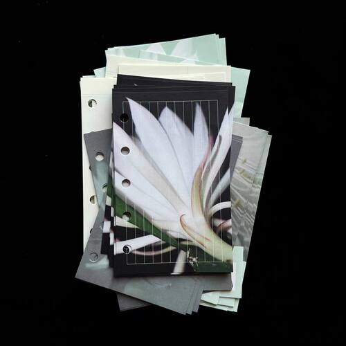 soii手帐分装|ClipClick 5款m5内页《见昙花》双面