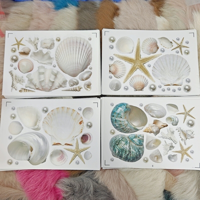 【soii手帐】14*21cm切膜贴纸（4张）大号贝壳海星珍珠no.038~041