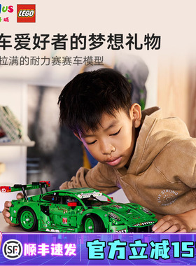 LEGO乐高42224保时捷王者赛驾911GT3绿色恐龙涂装赛车积木礼物