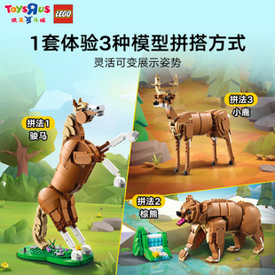 LEGO乐高创意3合1系列31166骏马男女孩儿童益智拼装积木玩具礼物