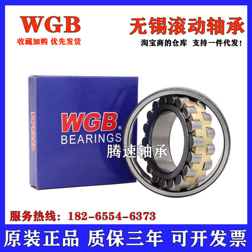 轴承WGB21310无锡滚动轴承21