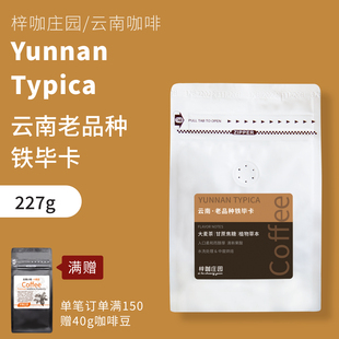 梓咖庄园新鲜烘焙云南老品种铁毕卡小粒咖啡豆精品手冲咖啡豆227g