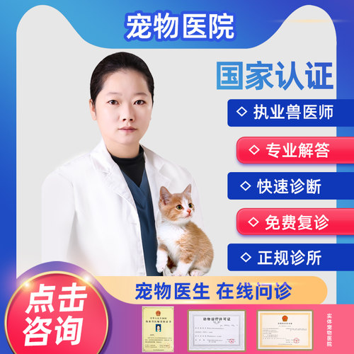 宠物医生在线问诊咨询