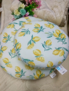 尼家冷感优质客厅羽丝棉抱枕靠垫沙发枕柠檬水果榻榻米蒲团可机洗