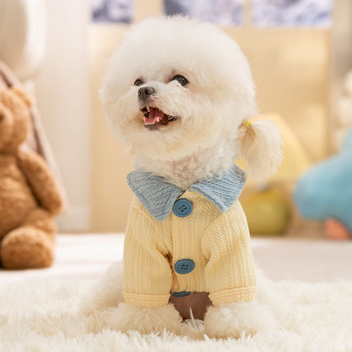 翻领衬衫拼色打底衫卫衣服饰