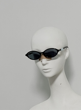 C和D R1F 意产进口板材太阳镜 椭圆框墨镜 超超大框修脸 26年新款