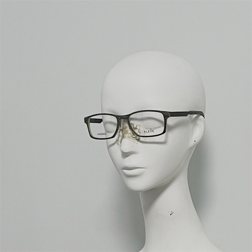 Norn C960-22 丹麦专业光学镜 牛角配钛金属 配光镜 近视镜 孤品