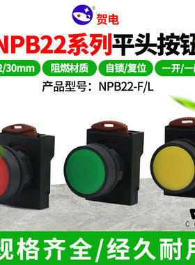 NHD台湾贺电NPB22-F/-L平头按钮自复位锁型启动停止开关22MMCB-10