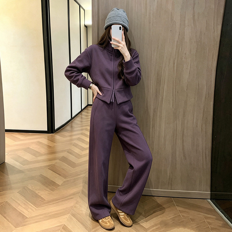 休闲运动套装女士春秋韩版时尚显瘦紫色立领拉链外套直筒裤两件套