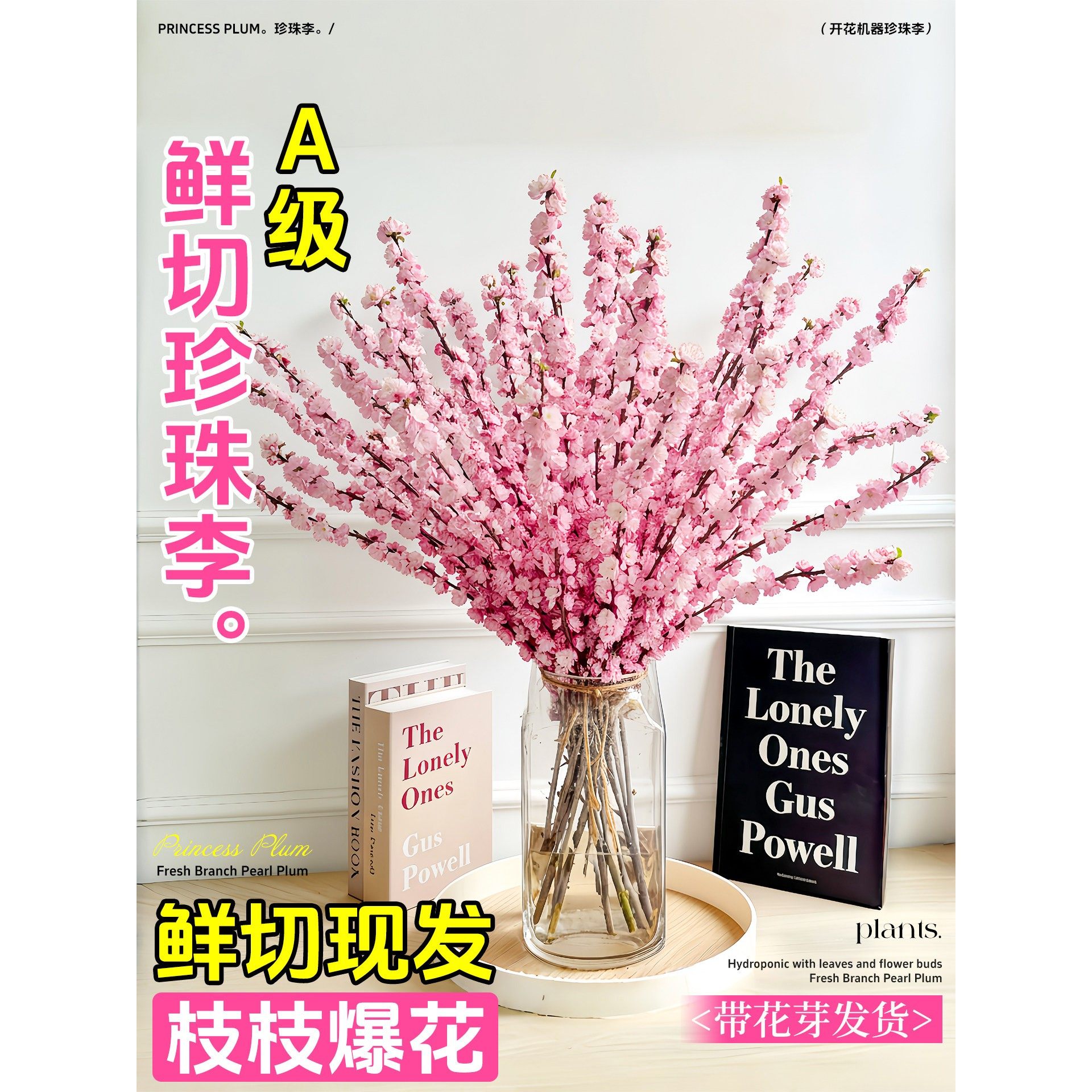 适合新手冬季开花珍珠李鲜枝水养带芽水培植物室内绿植室内插花,鲜花速递/花卉仿真/绿植园艺,花材,淘宝优惠券,粉丝福利购,淘宝优惠卷