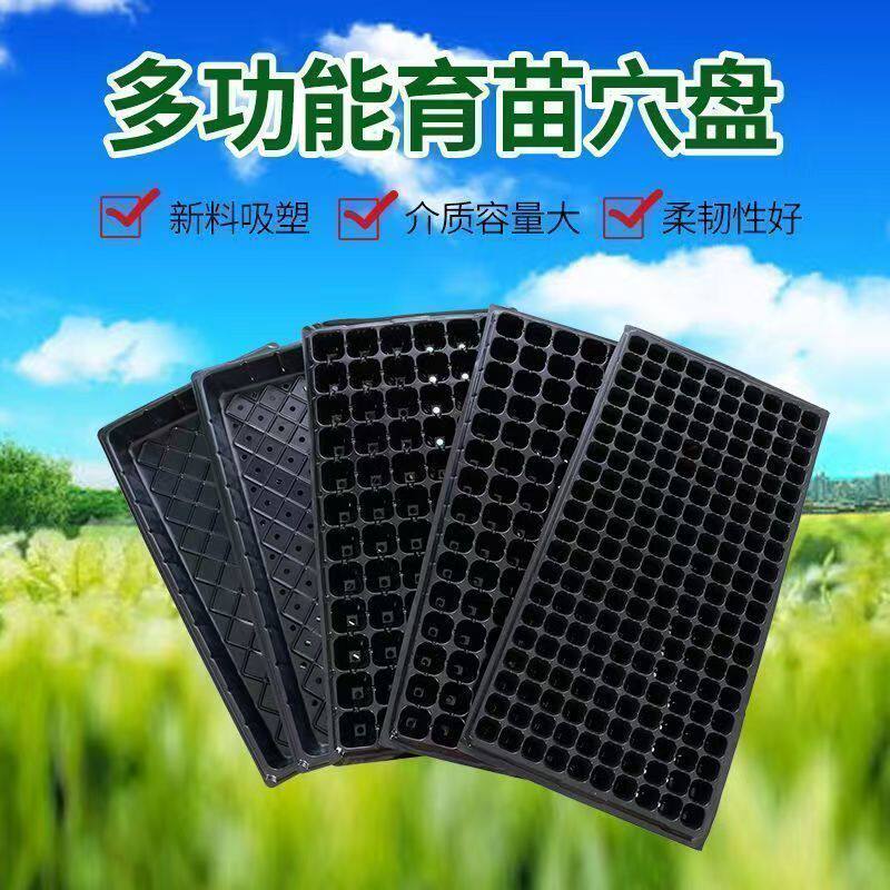 出售质量花卉育苗盘 50穴72盘春季秋季阳台盆栽买家注意 剪开发货