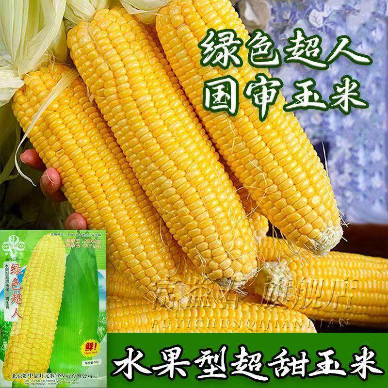 绿色超人超甜水果玉米种子即食生家庭园艺种子