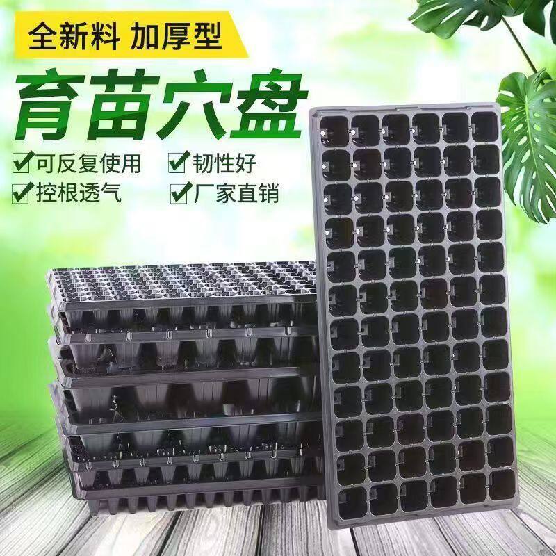 出售质量花卉育苗盘 50穴72盘春季秋季阳台盆栽买家注意 剪开发货