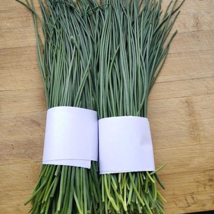 甘肃民勤新鲜蔬菜沙葱火锅下饭菜产地直发沙葱直营店 包邮 顺丰