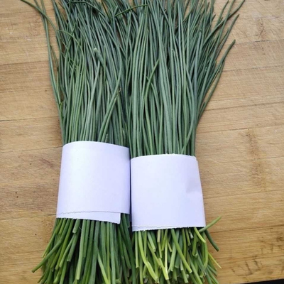 顺丰包邮坏包赔产地直发