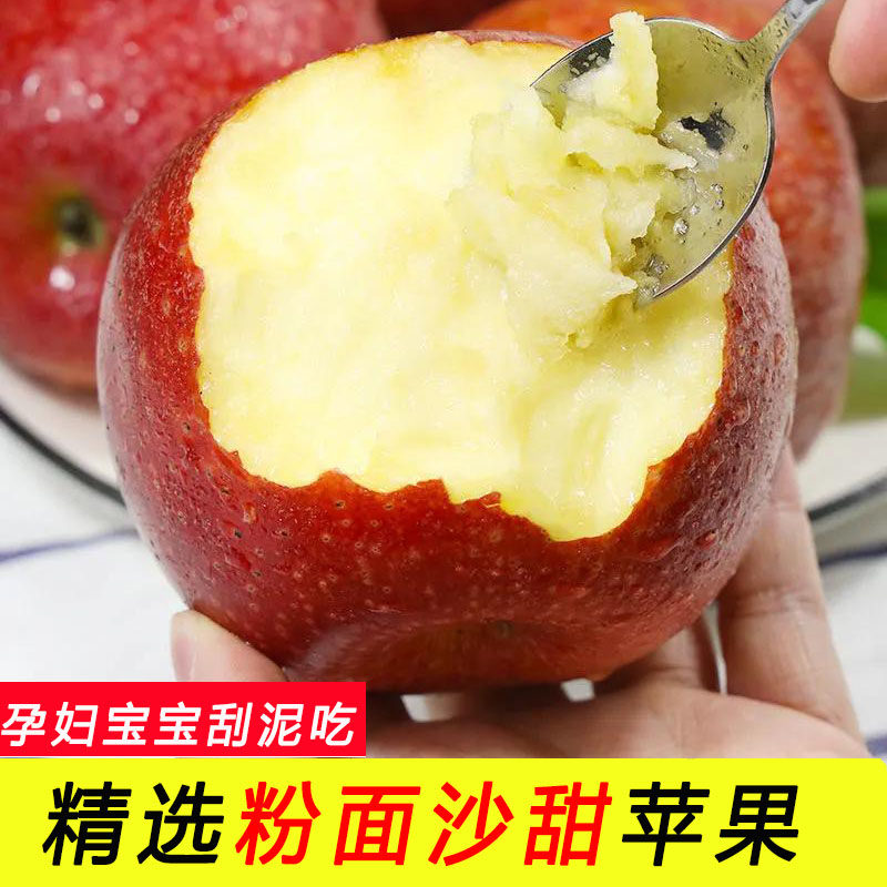 粉面沙甜苹果新鲜水果红星苹果宝宝刮泥婴儿辅食老人吃的粉糯苹果