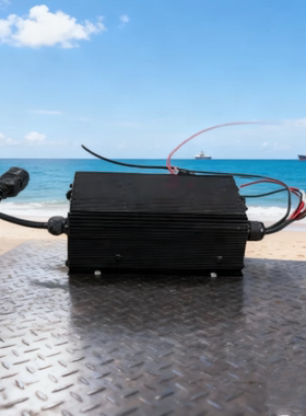 ESCH48V5A充电机电动托盘搬运叉车充电器中力大金刚EPT20ET/16ET