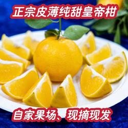 正宗产地皇帝柑广东韶关丹霞贡柑孕妇新鲜水果包邮黄帝柑橘桔子甜