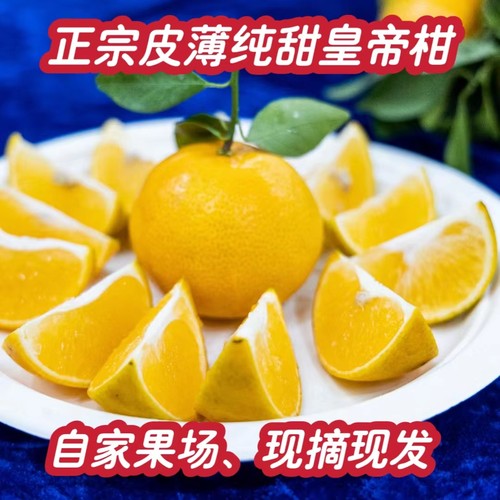 当天采摘保证新鲜正宗皇帝柑纯甜