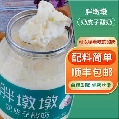胖墩墩奶皮子酸奶550g