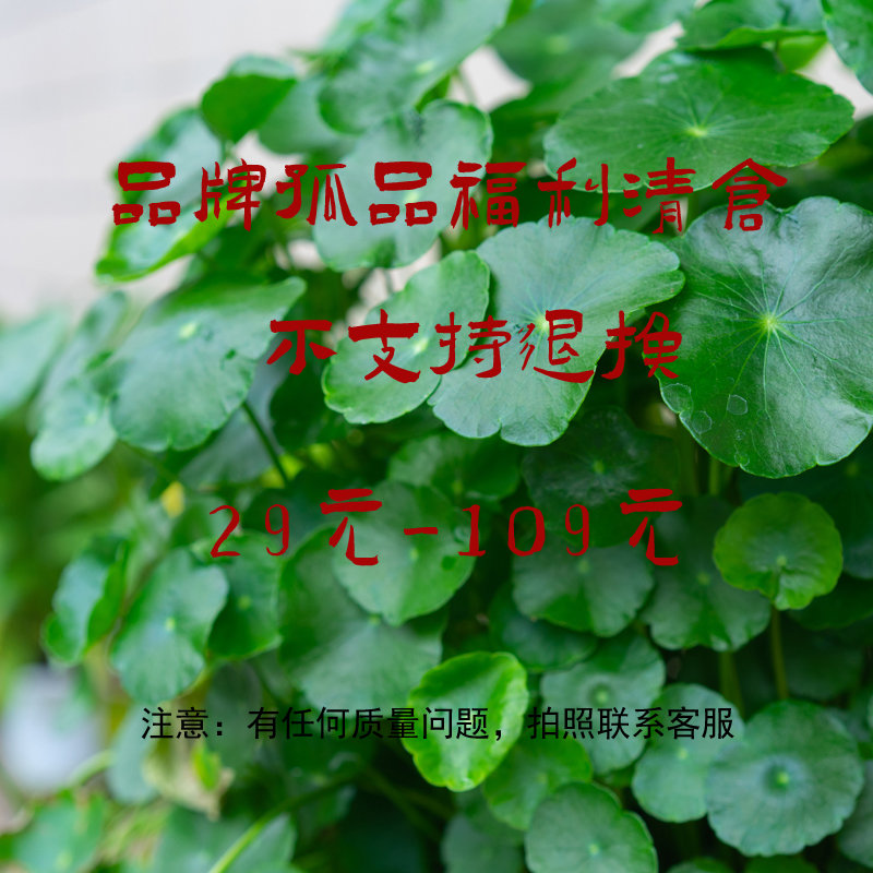 付款29元-109元复古文艺国风国潮刺绣棉麻衬衫衬衣女装扣号