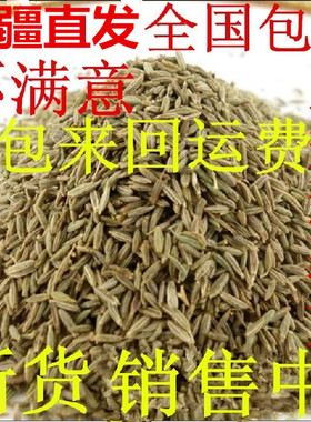 新疆特产南疆吐鲁番孜然整颗粒烧烤半料烤肉调料撒料500g新货包邮
