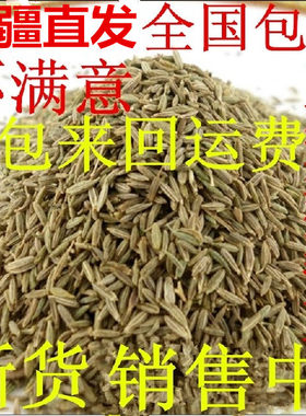 新疆特产大南疆吐鲁番烧烤500g