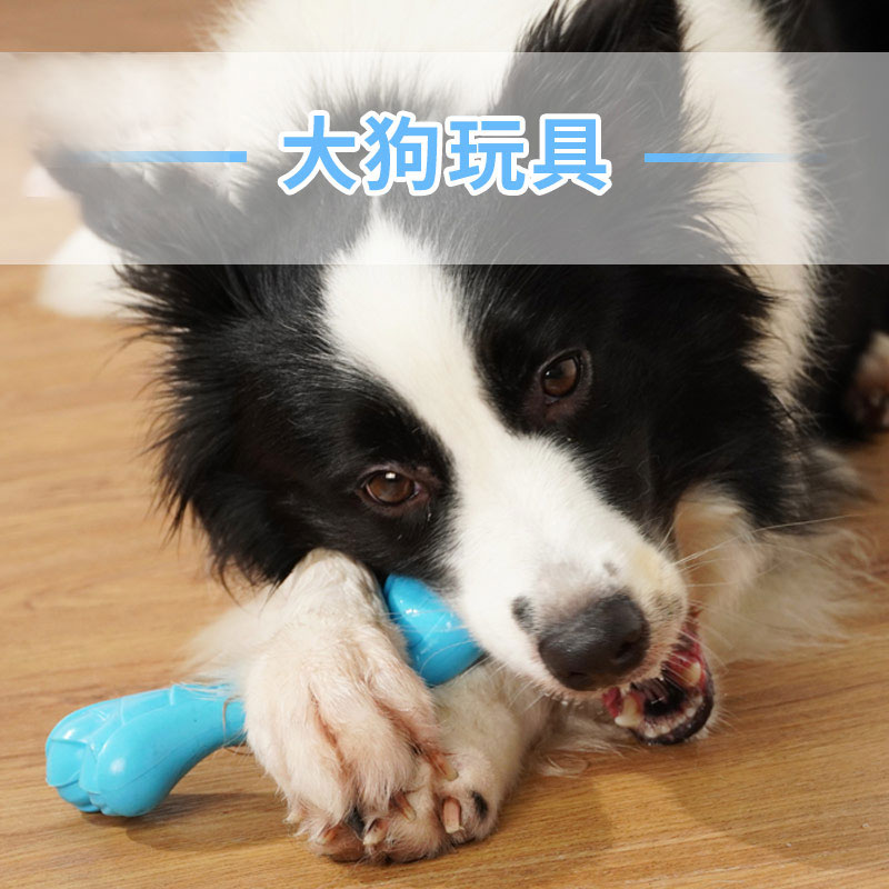 大型犬解闷磨牙棒耐咬玩具骨头玩具泰迪金毛边牧宠物用品狗狗玩具_虎窝淘