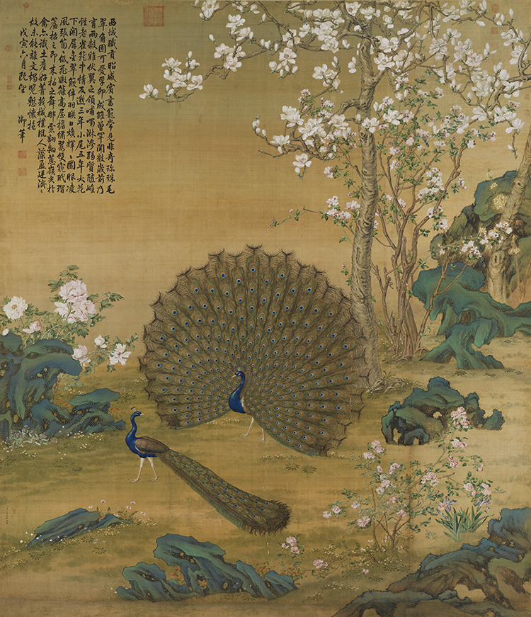 清郎世寧孔雀開屏国画花鸟真迹复制画绢布画心中式客厅装饰画图片