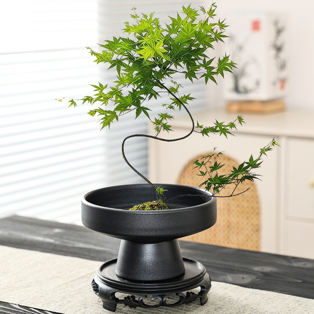 禅意流泉枫蕨类花盆陶瓷大号家用苔藓球佛手柑大口径盆景水培器皿