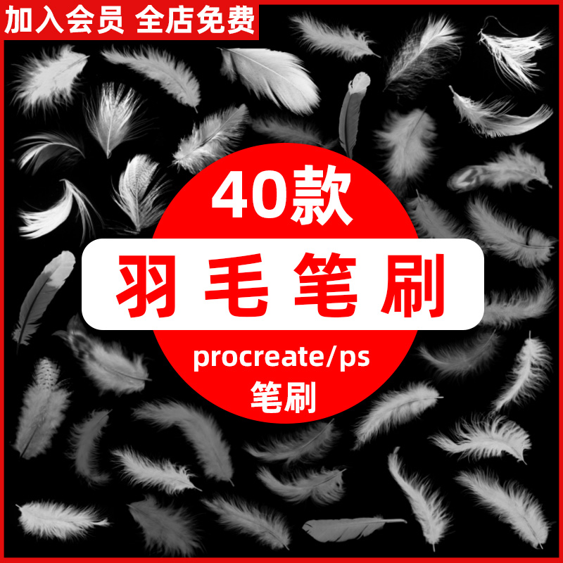 鸟类白色羽毛procreate笔刷后期羽毛飘落仙美特效插画ps笔刷素材