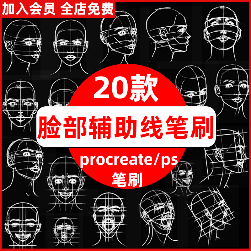新手人像脸部五官多角度方向表情辅助线ps笔刷procreate笔刷素材