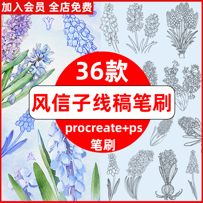 ps笔刷procreate笔刷风信子花朵线稿花卉花簇鲜花植物手绘插画