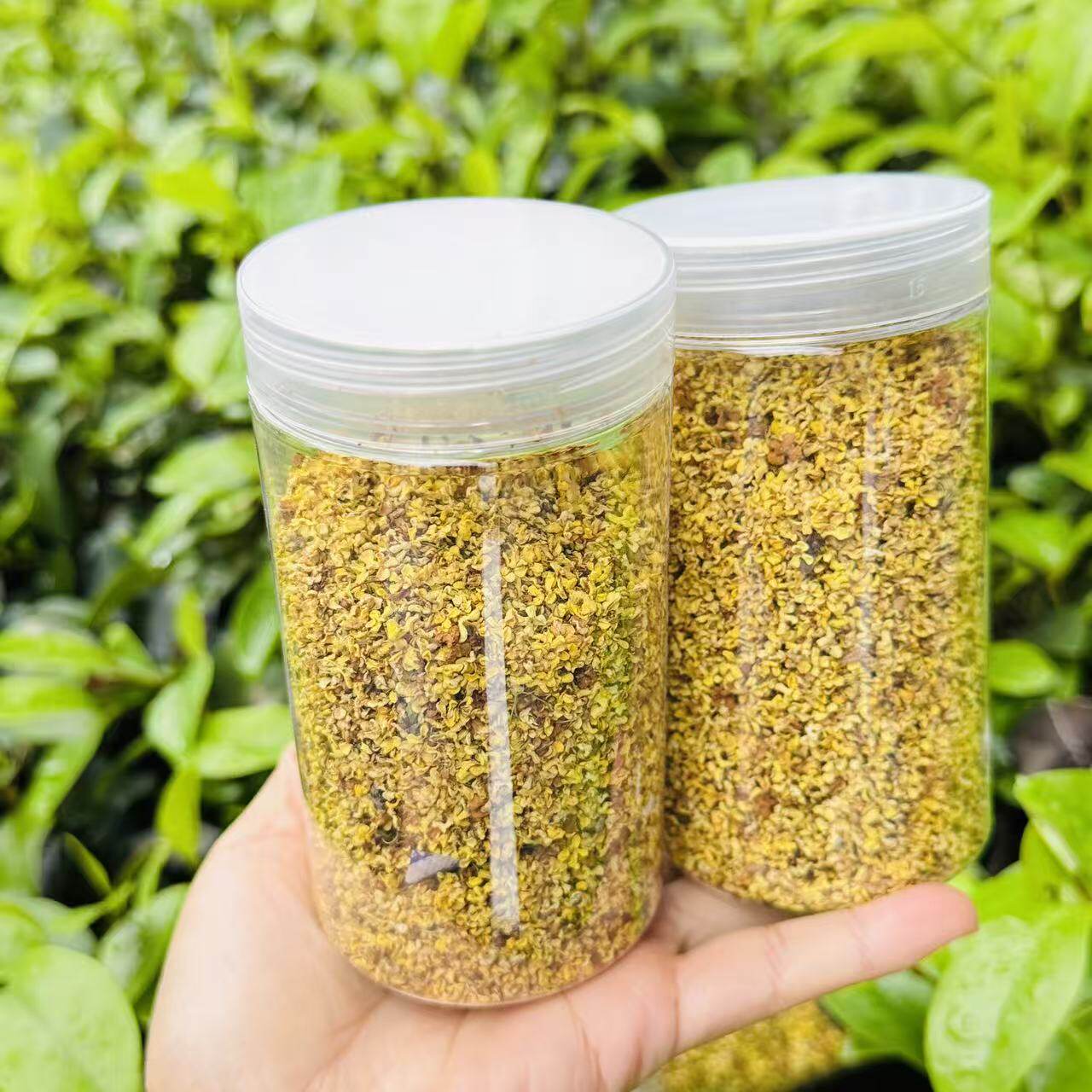 湖北咸宁特产干桂花无硫食用商用烘焙桂花金桂丹桂泡茶泡酒做点心