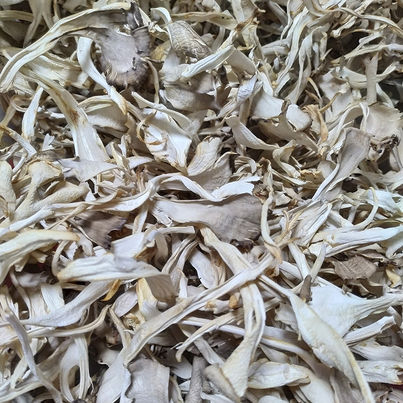 迁西栗蘑 灰树花 干货  舞茸  迁西土特产  农家自产  包邮