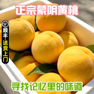 顺丰包邮黄桃新鲜水果山东蒙阴现摘锦绣黄金肉蜜非炎陵应当季毛桃