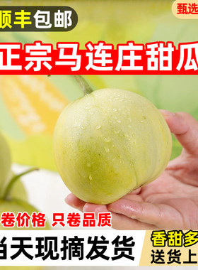 【顺丰包邮】正宗马连庄甜瓜莱西甜瓜甜宝甜瓜脆甜孕妇新鲜水果