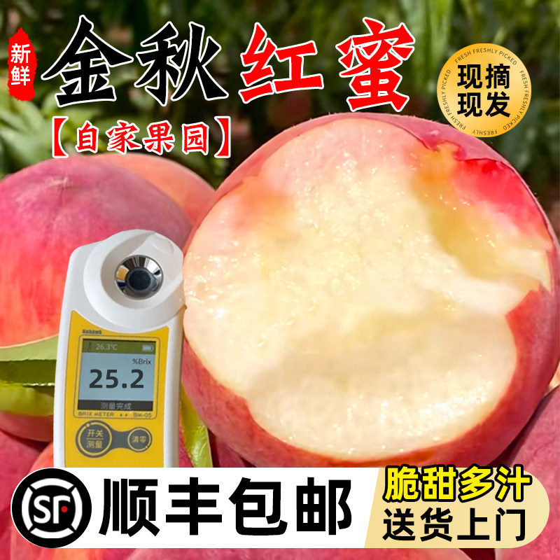 顺丰山东青岛莱西金秋红蜜桃蒙阴水蜜桃寒露蜜冬桃当季新鲜水果晚