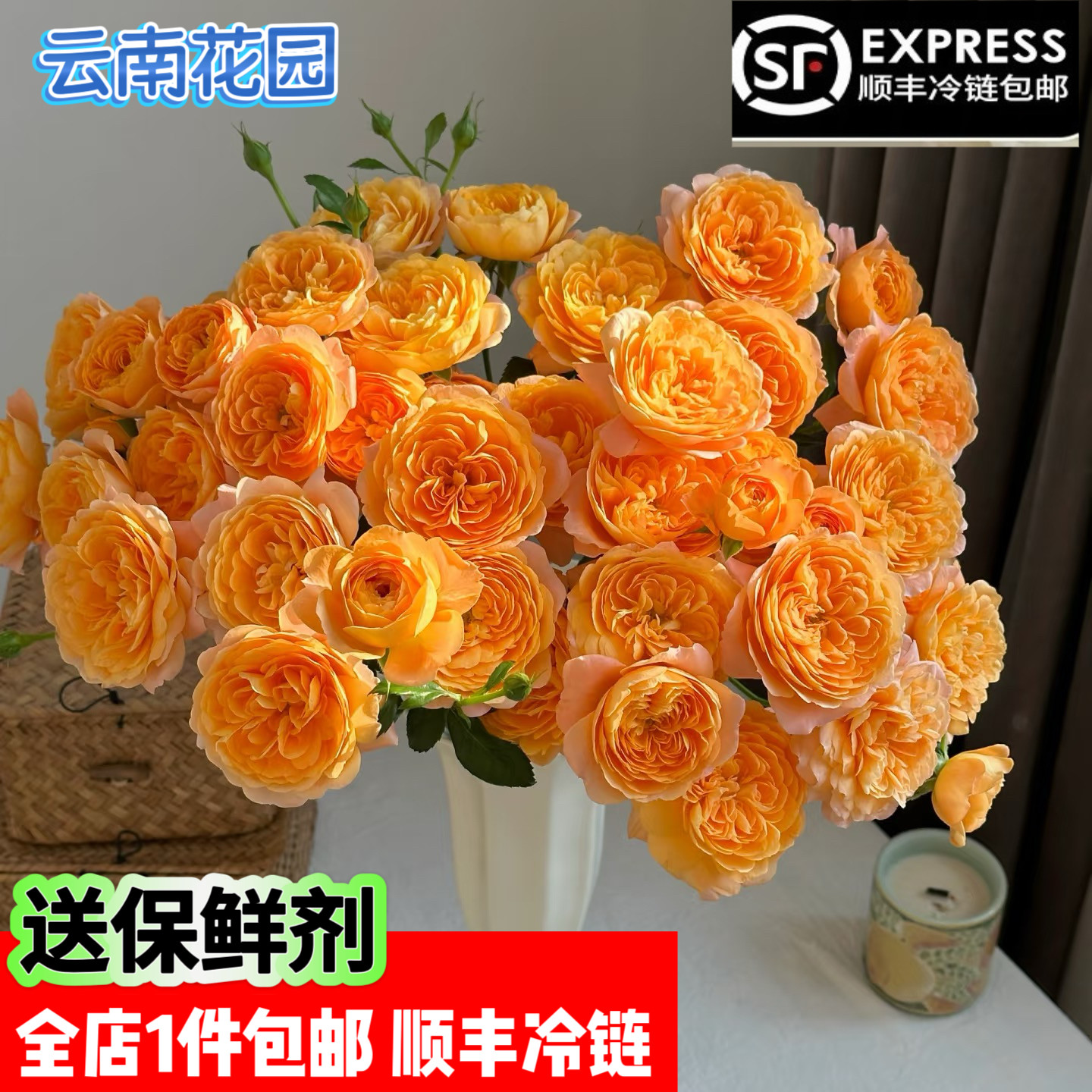 果汁阳台多头玫瑰鲜花家庭水养瓶插花云南昆明顺丰冷链包邮花束