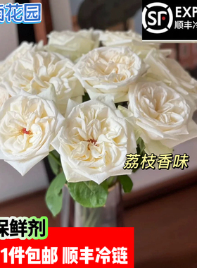 白荔枝玫瑰鲜花云南基地直发白月光玫瑰顺丰冷链包邮节日礼物