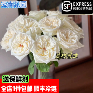 白荔枝玫瑰鲜花云南基地直发白月光玫瑰顺丰冷链 节日礼物 包邮