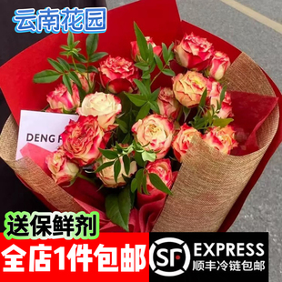 苹果杰克玫瑰花云南基地直发顺丰冷链包邮家庭插花花束