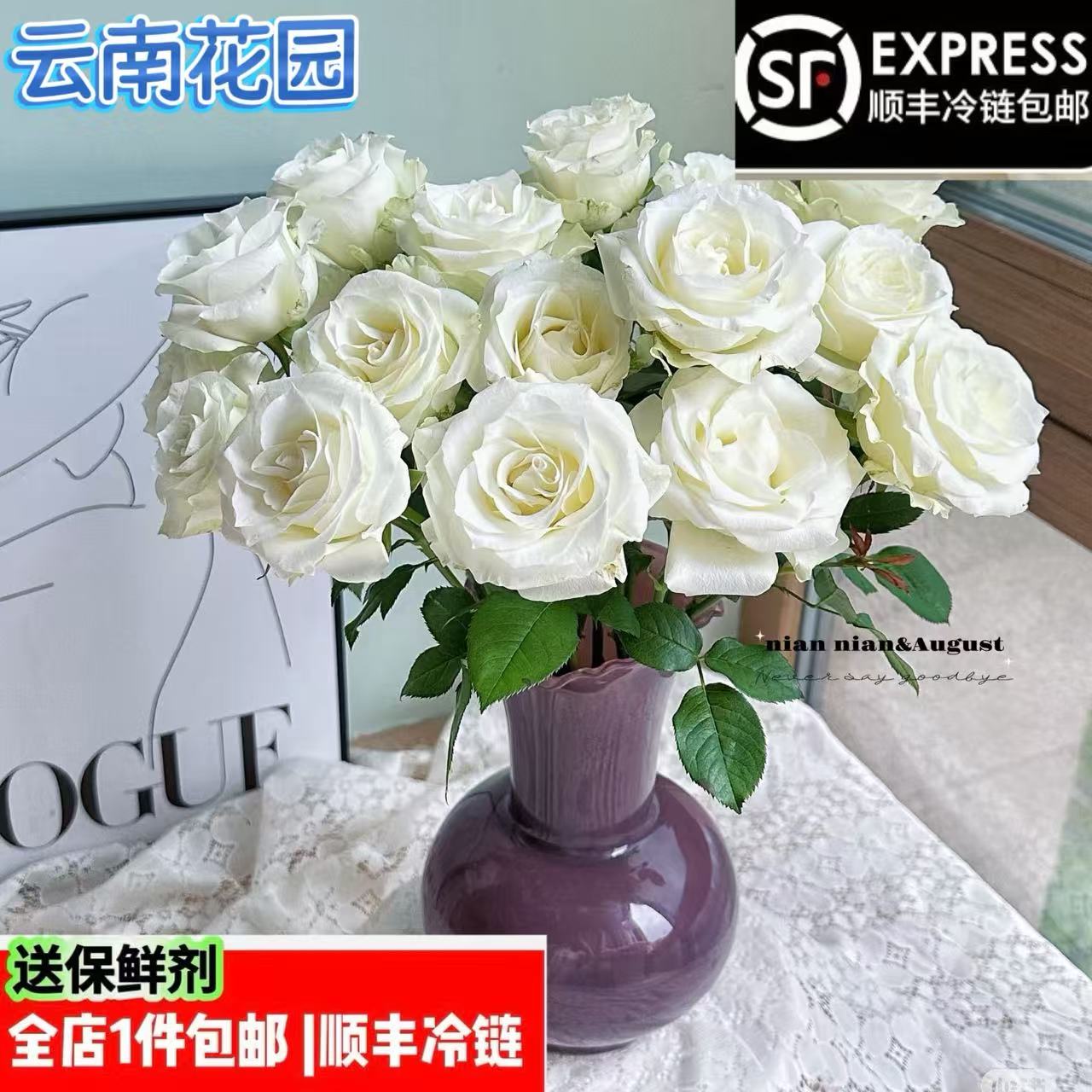 白色玫瑰品种名骄傲鲜花花材