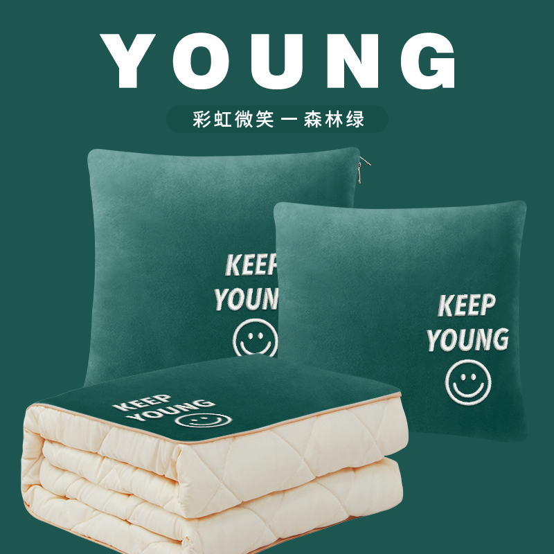 刺绣抱枕被子四季两用办公室午睡枕头沙发汽车靠枕空调被子可定制,居家布艺,抱枕被,淘宝优惠券,粉丝福利购,淘宝优惠卷