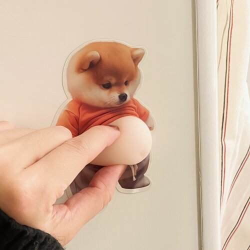 没有哪个女生能拒绝这样的门挡吧