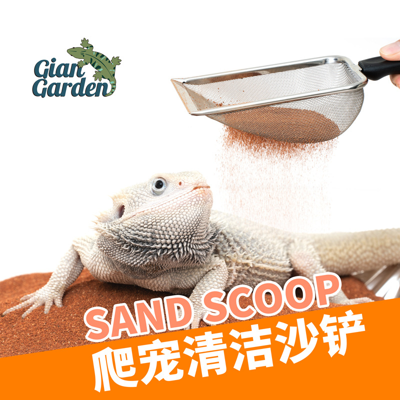 不锈钢沙铲鬃狮蜥蜴清理垫材