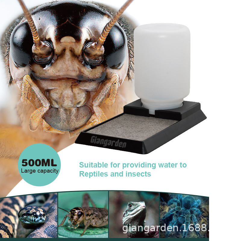 爬宠蟋蟀油葫芦白蟋蟀专用喂水器