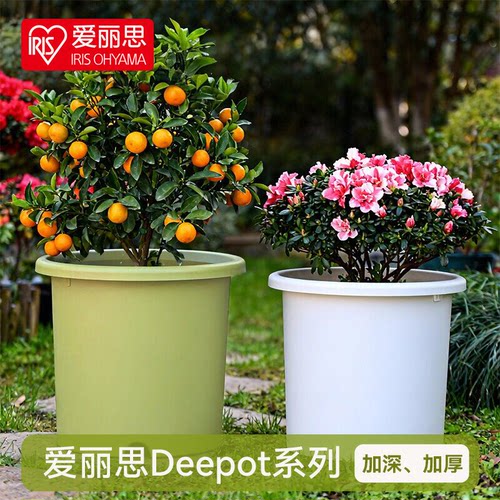 爱丽丝花盆塑料加仑盆爱丽思花盆