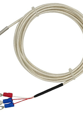 WZCM 端面热电阻 WZPM-001 201 CU50 PT100 Φ3 L=30mm -50~300℃